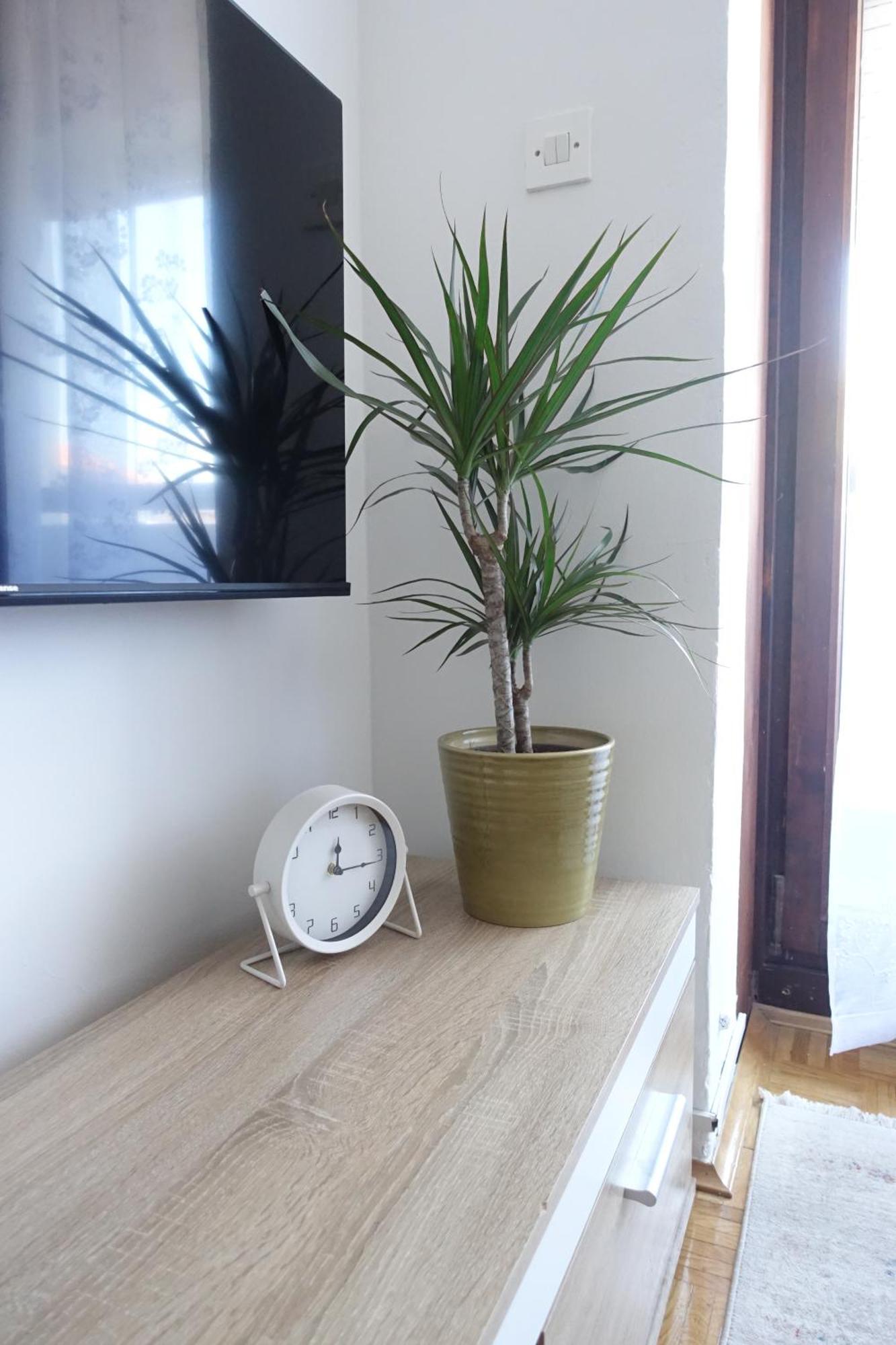 Apartman Tamara ザダル エクステリア 写真